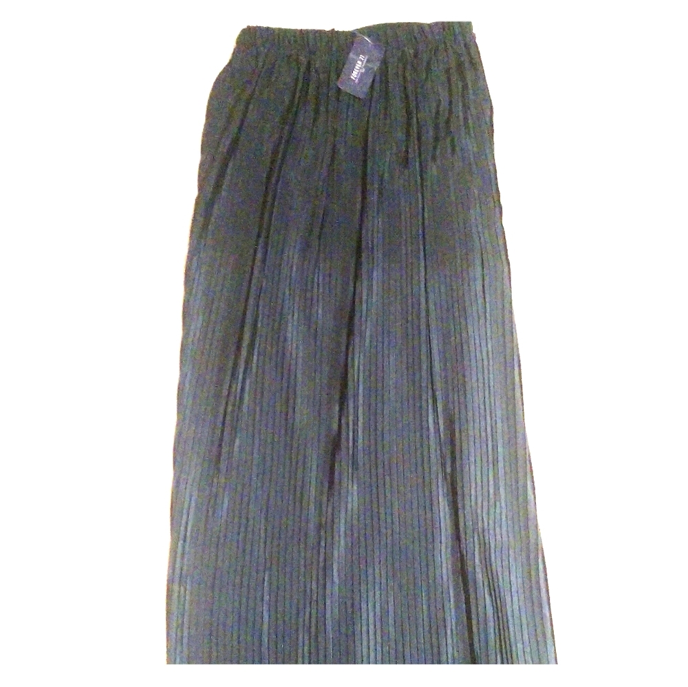 Long Pleated Skirt